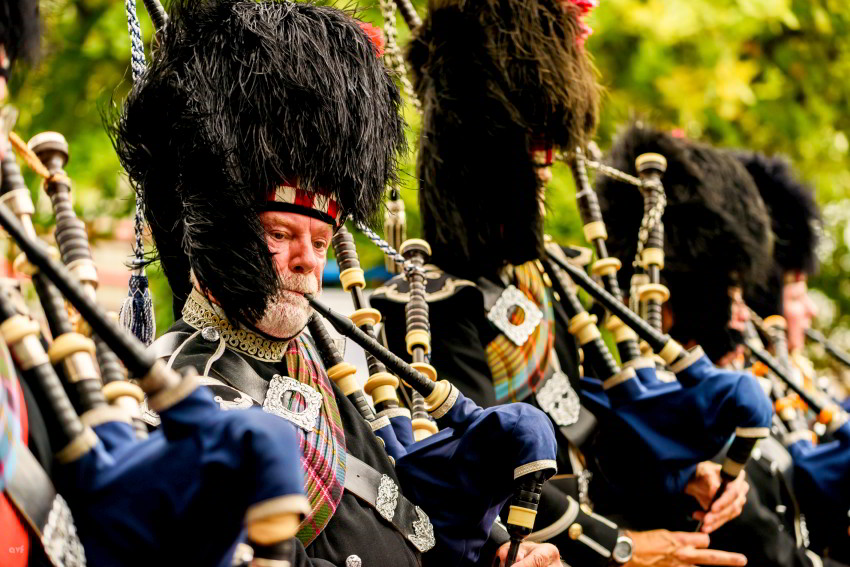 44721084271_ca39ff9eb0_o