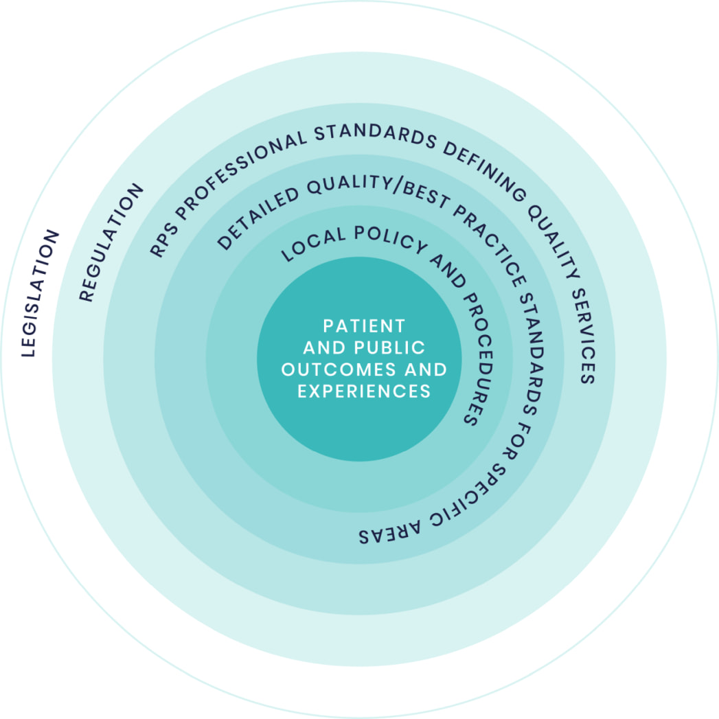 RPS Professional Standards figure 1