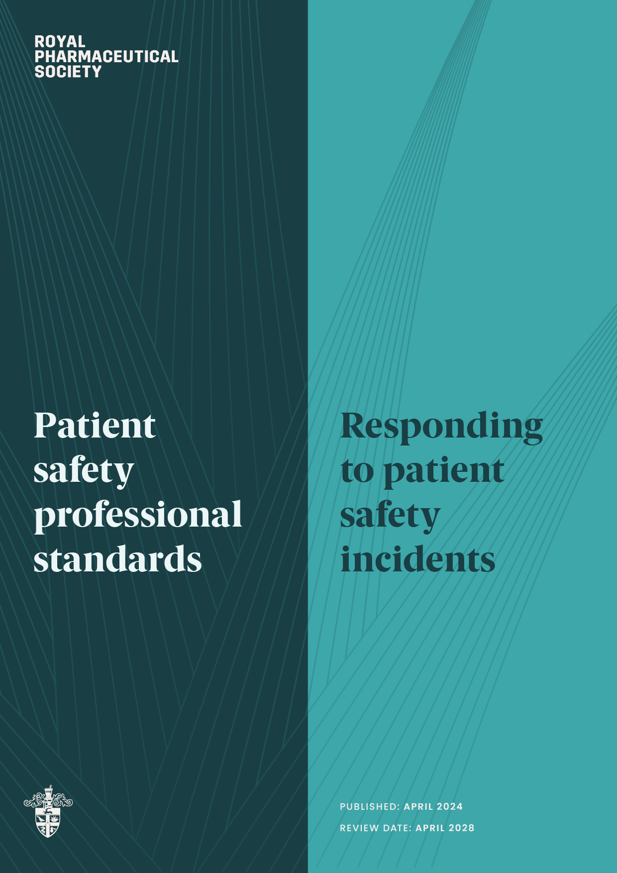 Download Competency Framework (PDF) in English