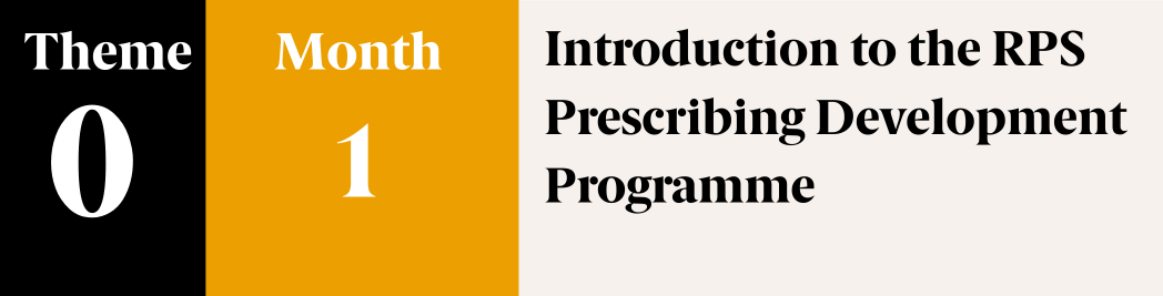 Theme 0 - introduction to the RPS Prescribing Programme